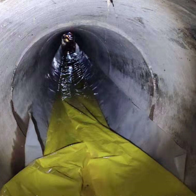 大竹管道光固化修复